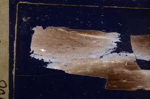 Cross Polarized, E30619