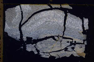 Cross Polarized, E30621