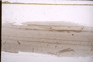 Plane Polarized, E30632