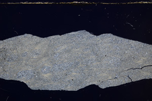 Cross Polarized, E30648