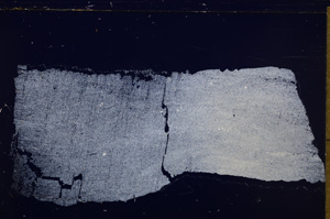 Cross Polarized, E30663