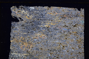 Cross Polarized, E30750