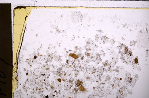 Plane Polarized, E30790