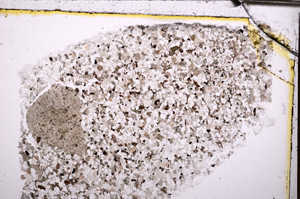 Plane Polarized, E30808