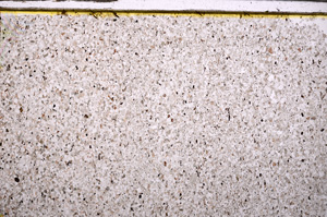 Plane Polarized, E30823