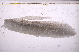 Plane Polarized, E30832