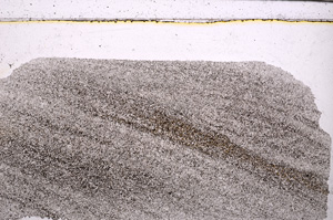 Plane Polarized, E30843