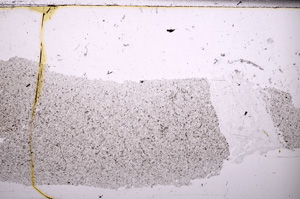 Plane Polarized, E30847