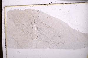 Plane Polarized, E30849