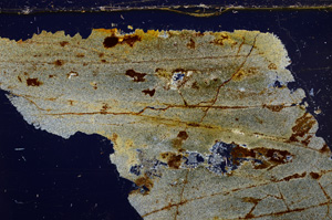 Cross Polarized, E30851