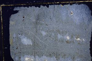 Cross Polarized, E30852