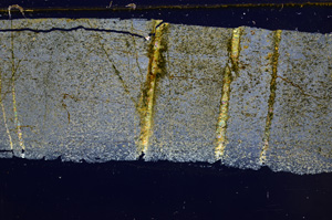 Cross Polarized, E30853