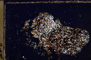 Cross Polarized, E30854