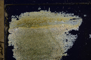 Cross Polarized, E30855
