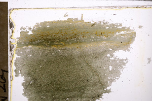 Plane Polarized, E30855