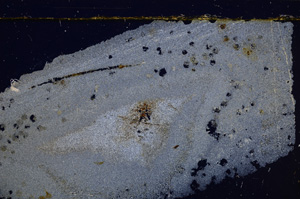 Cross Polarized, E30856