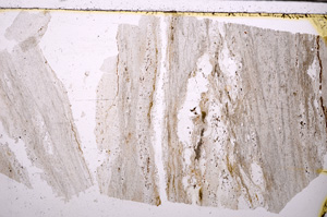 Plane Polarized, E30872
