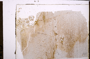 Plane Polarized, E30873