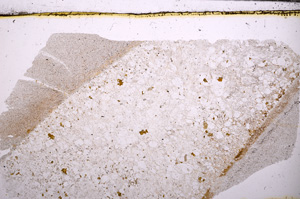 Plane Polarized, E30874