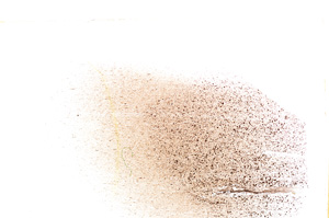 Plane Polarized, E30879