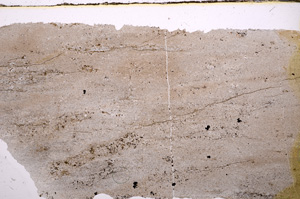 Plane Polarized, E30882