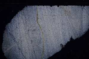 Cross Polarized, E30884