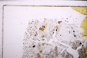 Plane Polarized, E30885