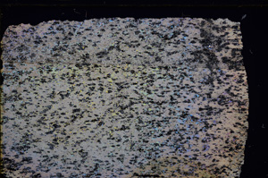 Cross Polarized, E30887