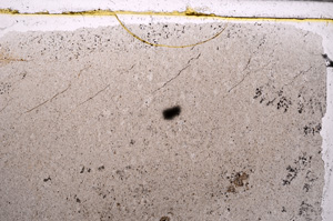 Plane Polarized, E30888
