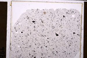 Plane Polarized, E30899