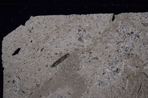 Cross Polarized, E30906