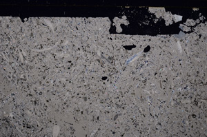 Cross Polarized, E30907