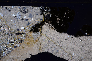 Cross Polarized, E30912