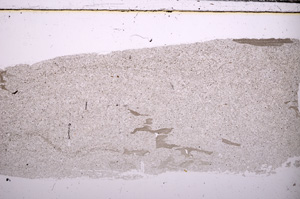 Plane Polarized, E30917