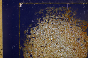 Cross Polarized, E30926