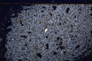 Cross Polarized, E30927