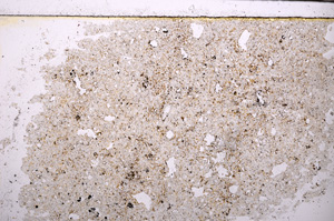 Plane Polarized, E30927