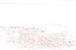 Plane Polarized, E30936