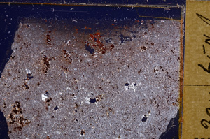 Cross Polarized, E30940
