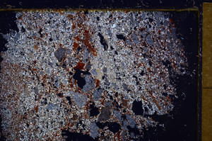 Cross Polarized, E30941