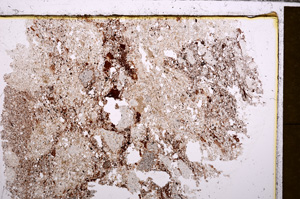 Plane Polarized, E30941