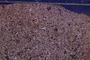 Cross Polarized, E30944