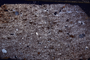 Cross Polarized, E30945