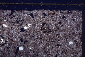 Cross Polarized, E30947