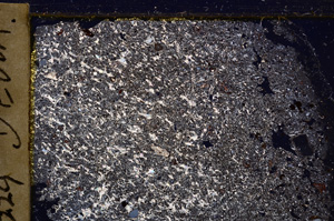 Cross Polarized, E30952