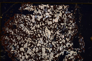 Cross Polarized, E30954