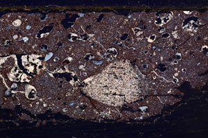 Cross Polarized, E30955