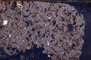 Cross Polarized, E30959