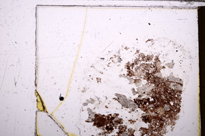 Plane Polarized, E30962
