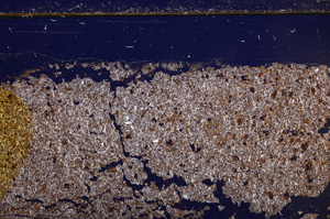 Cross Polarized, E30965